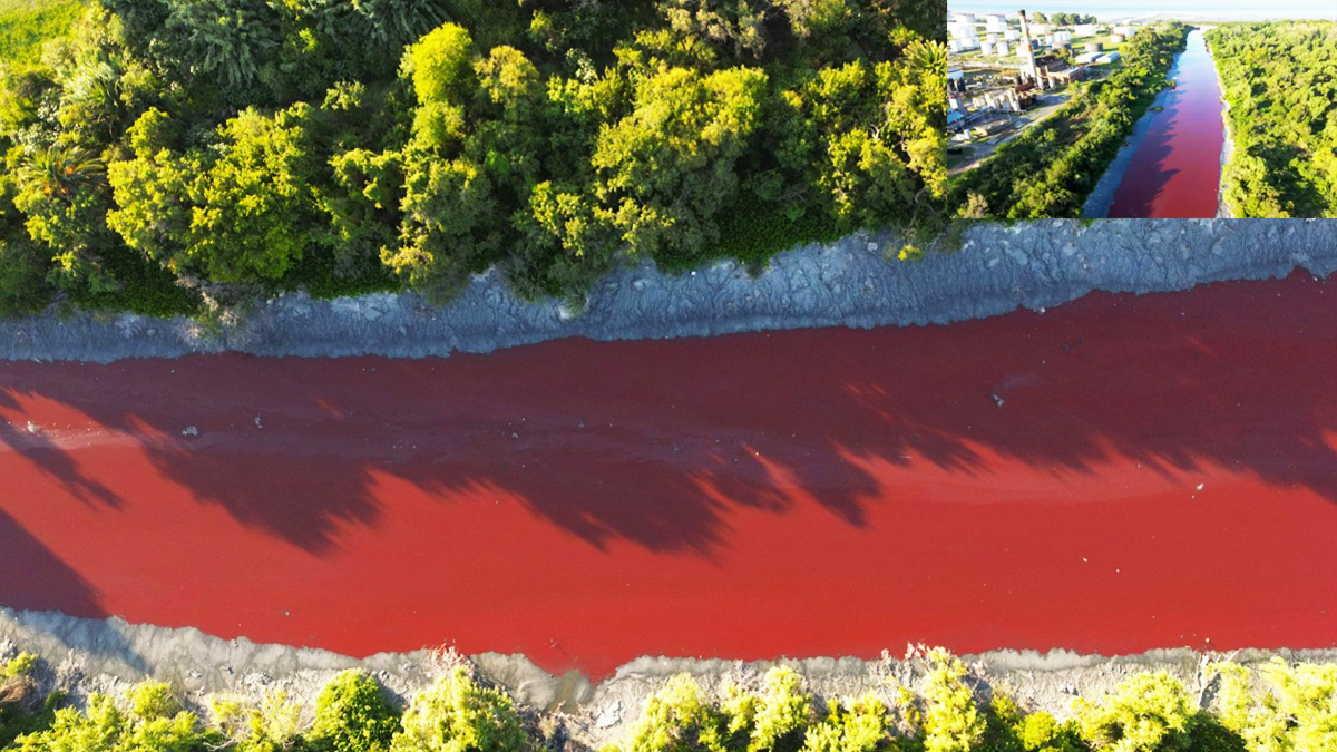 আচমকাই রক্তের মতো লাল হয়ে গেল নদীর পানি