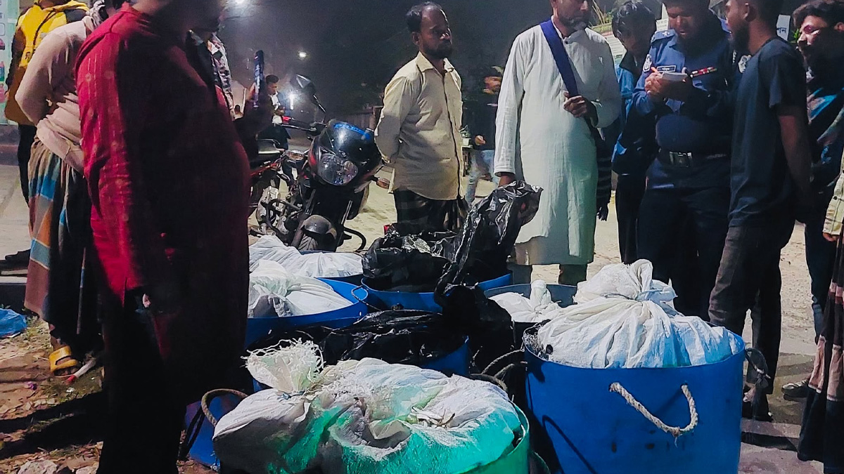 পটুয়াখালীতে যাত্রীবাহী বাসে অভিযান, প্রায় ১৪ মন জাটকা জব্দ