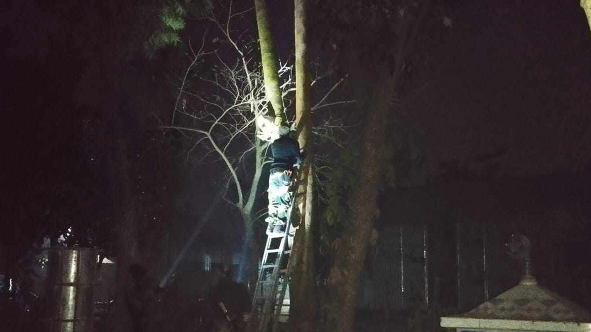 বিজিবির প্রতিবাদের পর কুড়িগ্রাম সীমান্তে বসানো সিসিটিভি ক্যামেরা সরালো বিএসএফ