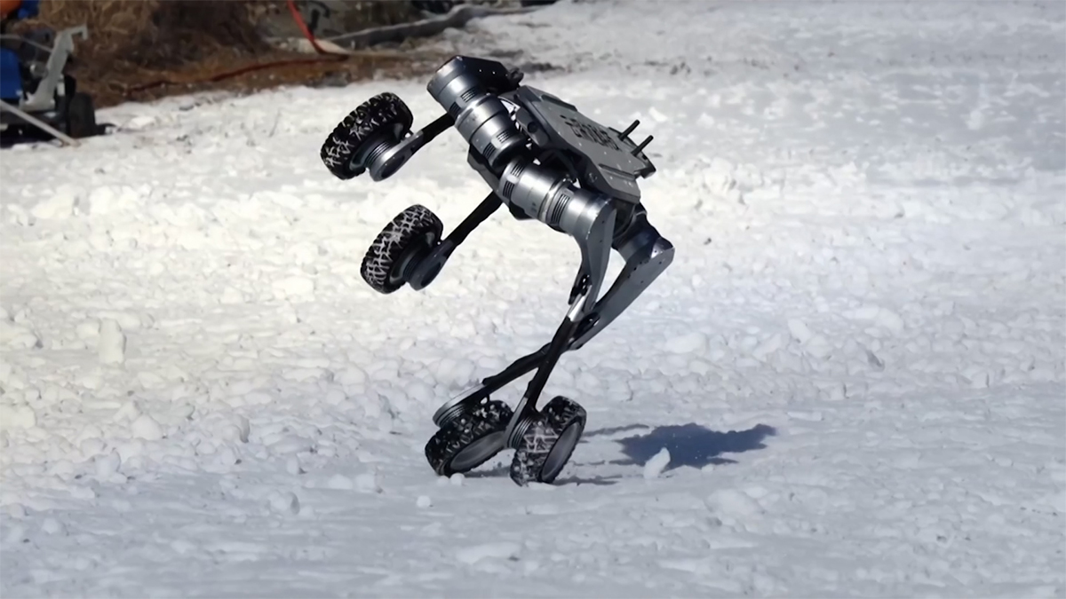 বাজারে এলো চীনের ‘রোবটিক কুকুর’, করতে পারবে ঝুঁকিপূর্ণ কাজ