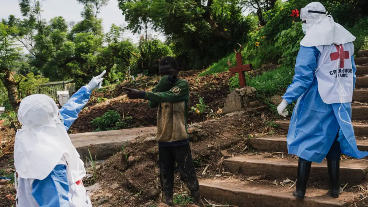 বাদুড় খাওয়ার পর রহস্যময় রোগ ছড়িয়ে পড়ছে কঙ্গোতে, নিহত ৫৩