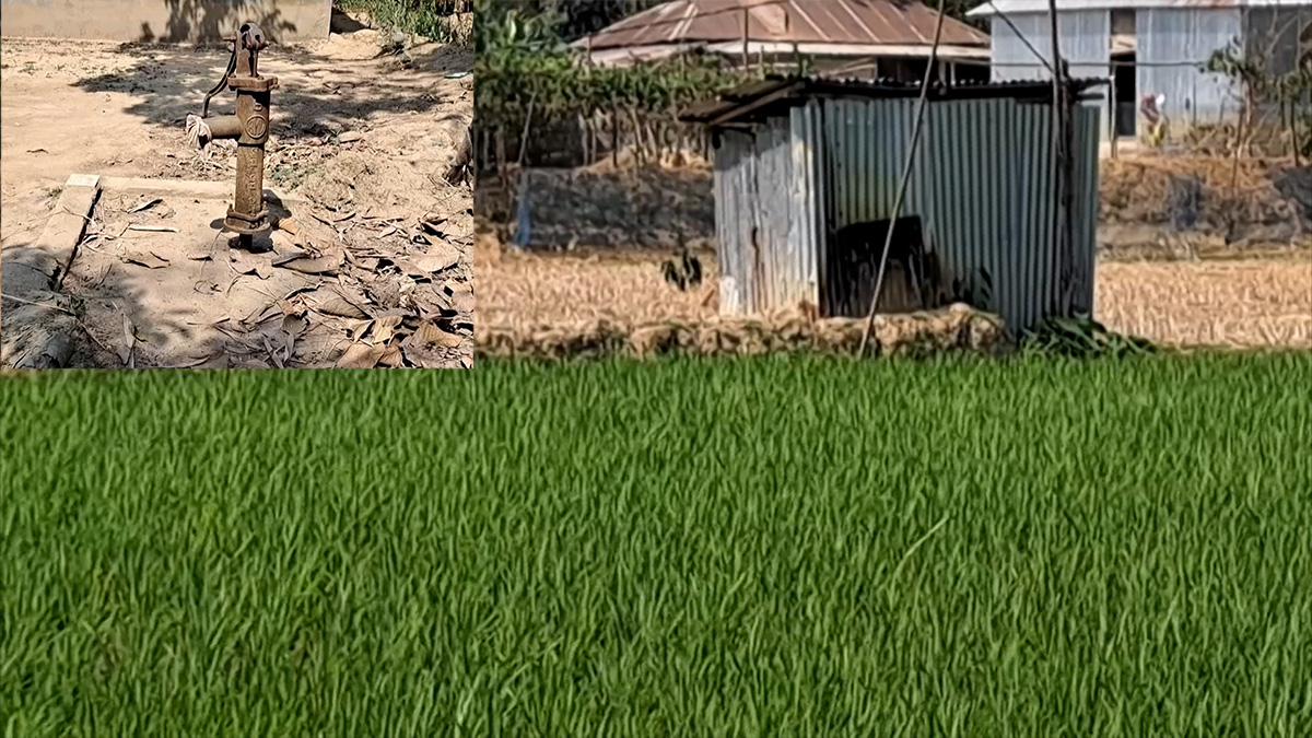 নেত্রকোণায় বিদ্যুৎ কর্মকর্তাকে ঘুষ না দেয়ায় নলকূপের সংযোগ বিচ্ছিন্নের অভিযোগ