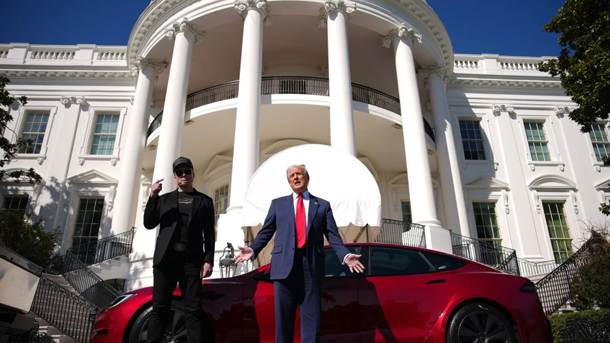 ট্রাম্পের সমর্থনের পরও টেসলার ব্যবহৃত গাড়ির বাজারে ধস: কমছে দাম, চাহিদা হ্রাস