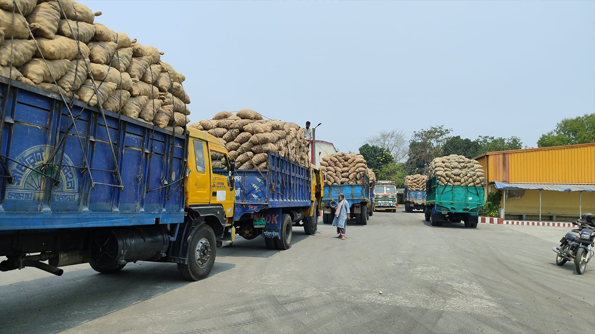 বাংলাবান্ধা স্থলবন্দর দিয়ে ঈদের পর নেপালে ২৫২ মেট্রিক টন আলু রফতানি