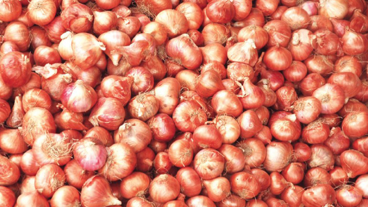 বেড়েছে পেঁয়াজের দাম