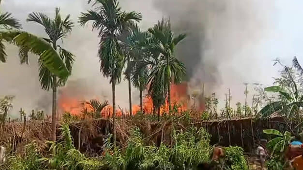 রাজশাহীতে আগুনে পুড়ে ছাই ২০ বিঘা পানের বরজ