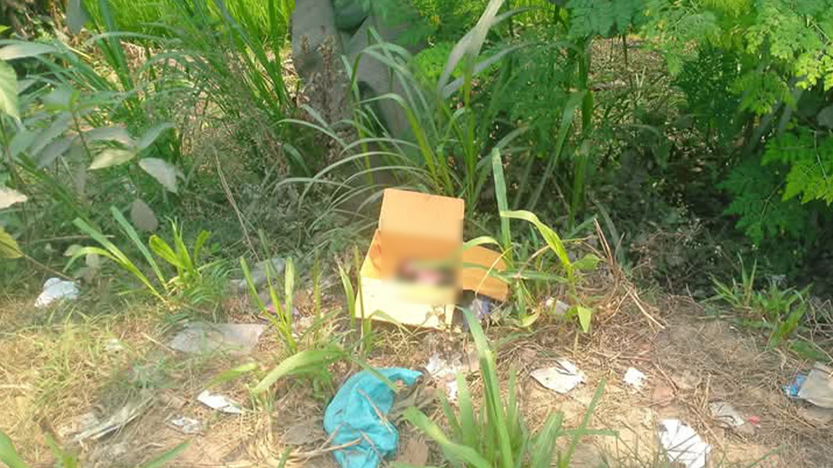 ফরিদপুরে সড়কের পাশে কার্টনে মিলল নবজাতকের মরদেহ