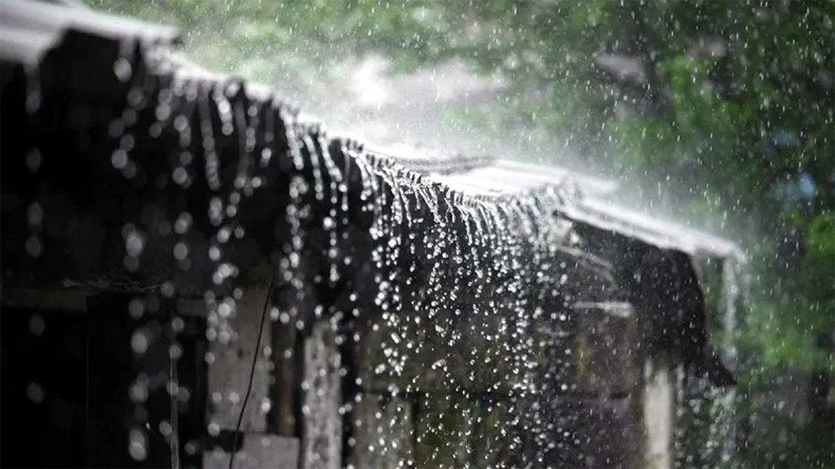 টানা পাঁচ দিন বৃষ্টির পূর্বাভাস