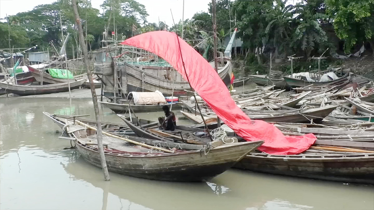 ইলিশের অভয়াশ্রমগুলোতে মাছ আহরণে নিষেধাজ্ঞা শেষ হচ্ছে আজ