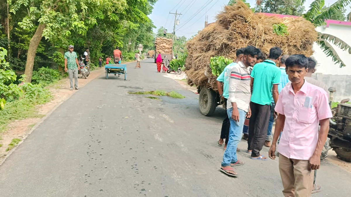 ঝিনাইদহে পাওয়ার টিলার-ভ্যানের সংঘর্ষে নিহত নারী