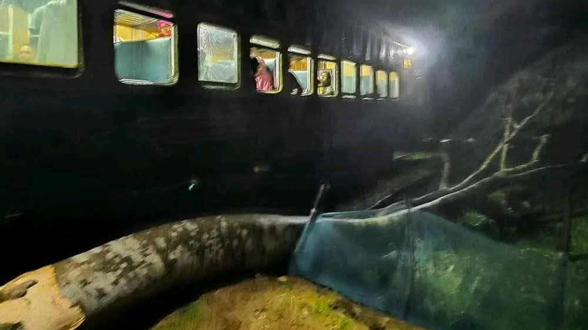 ঝড়ে উপড়ে পড়া গাছে ট্রেনের ধাক্কা, ময়মনসিংহ-জামালপুর রেল যোগাযোগ বন্ধ