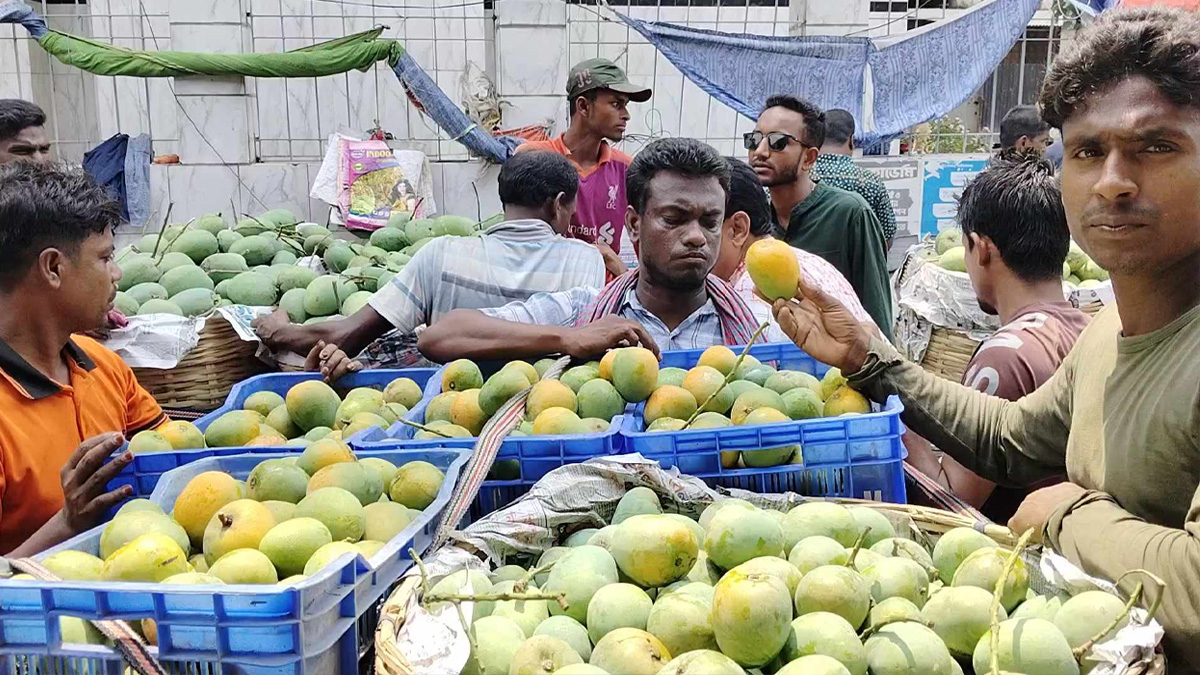 প্রশাসনের জরুরি সভায় সাতক্ষীরার হিমসাগর আম ক্যালেন্ডারে পরিবর্তন