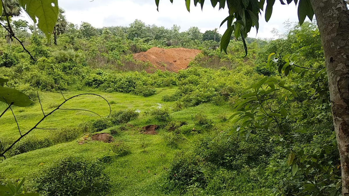 লাইট অফ করে নো ম্যানস ল্যান্ডে ড্রেন নির্মাণের চেষ্টা, বিজিবির বাধায় সরে গেলো বিএসএফ