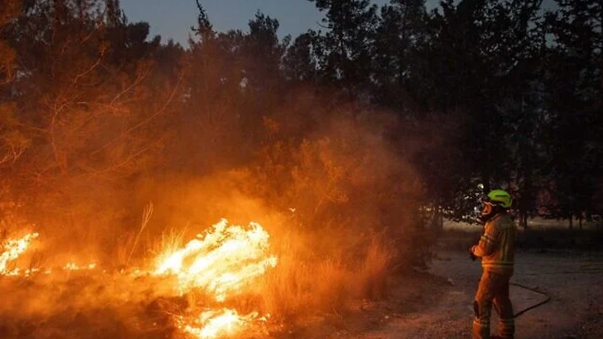 দাবানলে পুড়ছে ইসরায়েল, প্রবেশ করছে জেরুজালেমের দিকে