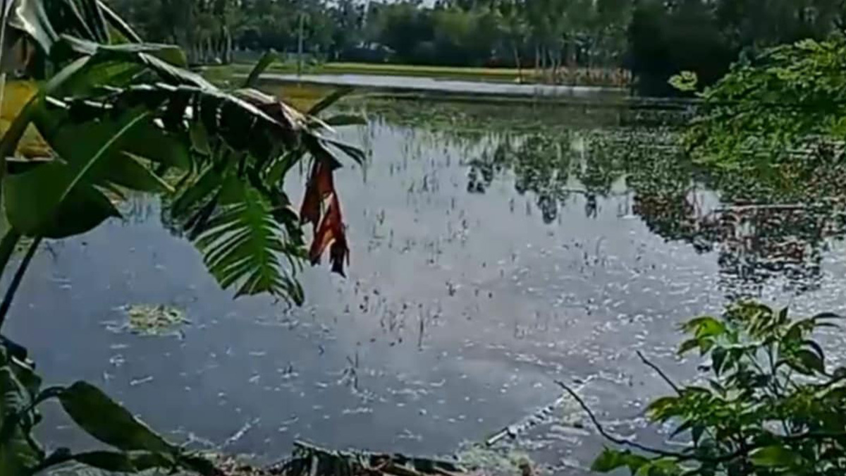 গাইবান্ধায় ডোবার পানিতে ডুবে দুই শিশুর মৃত্যু