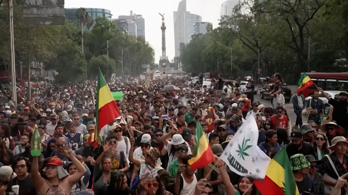 গাঁজা চাষ ও সেবনের বৈধতা চেয়ে মেক্সিকোতে বিশাল র্যালি