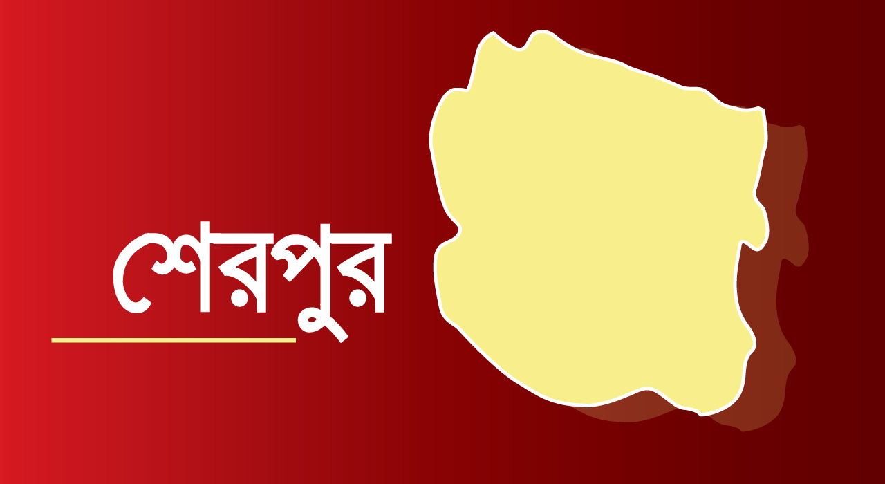 শেরপুরে নিখোঁজের ২০ঘণ্টা পর জলাশয় থেকে দুই শিশুর মরদেহ উদ্ধার