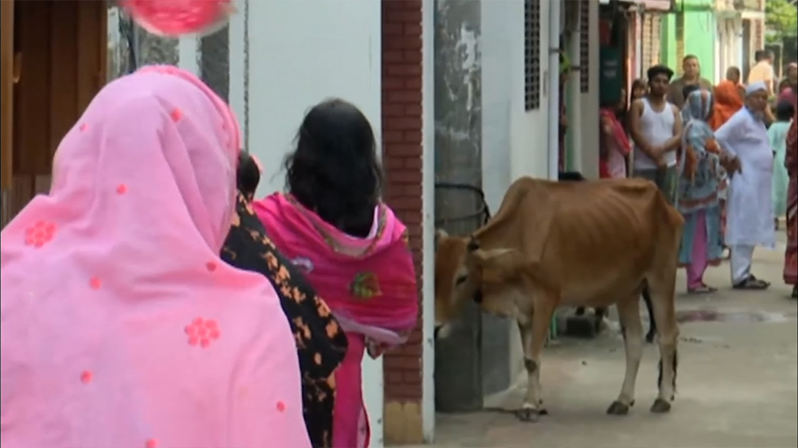 ঈদের নামাজ শেষে সারাদেশে মুসল্লিদের পশু কোরবানি