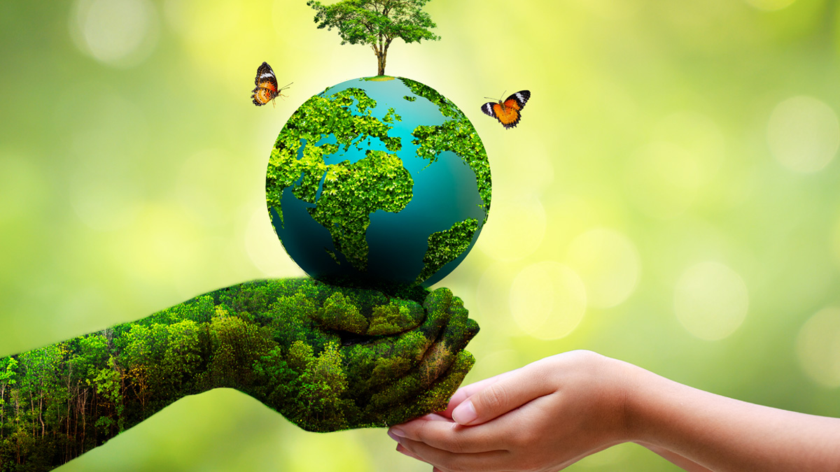 বিশ্ব পরিবেশ দিবস আজ