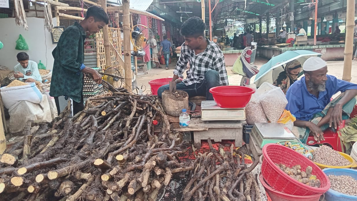 ওষুধি গুণে ভরপুর চুইঝাল: খুলনার বাজারে বেড়েছে চাহিদা