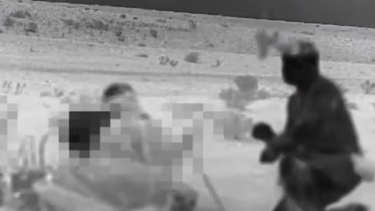 ইসরায়েলের জন্য ড্রোন তৈরির অভিযোগে ইরানে আটক ১৮