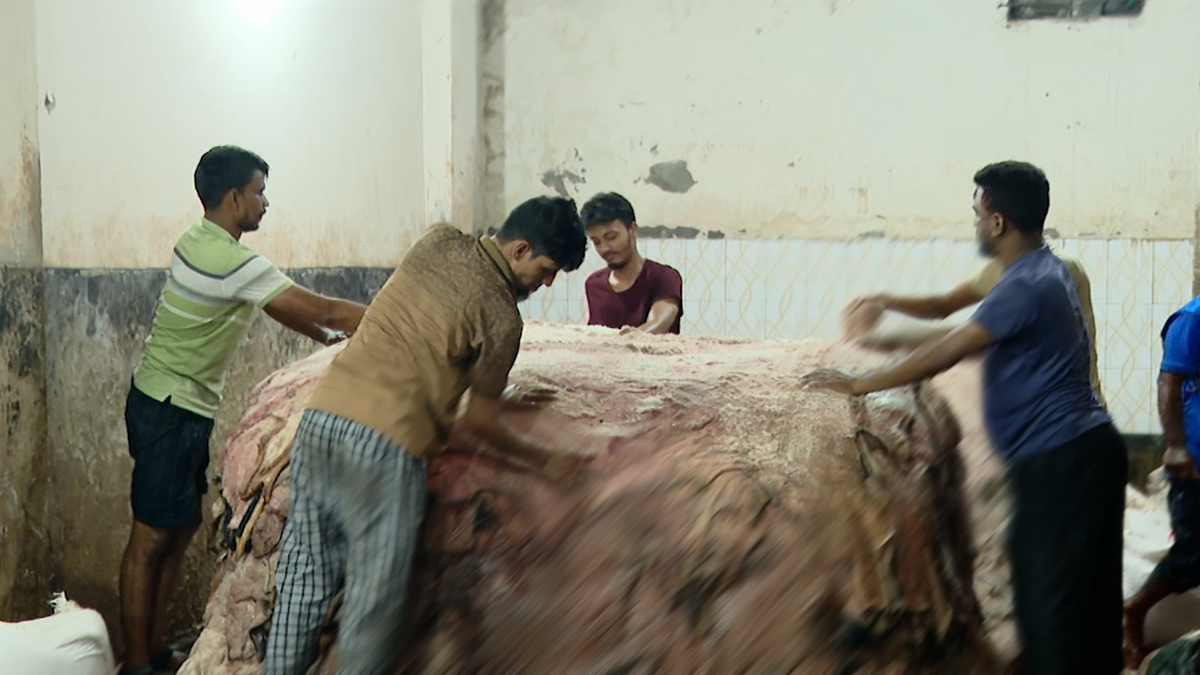 কয়েকদিনের মধ্যেই চামড়া সংগ্রহ শুরু, দাম নিয়ে আড়তদারদের আশ্বস্ত করলেন ট্যানারি মালিকরা
