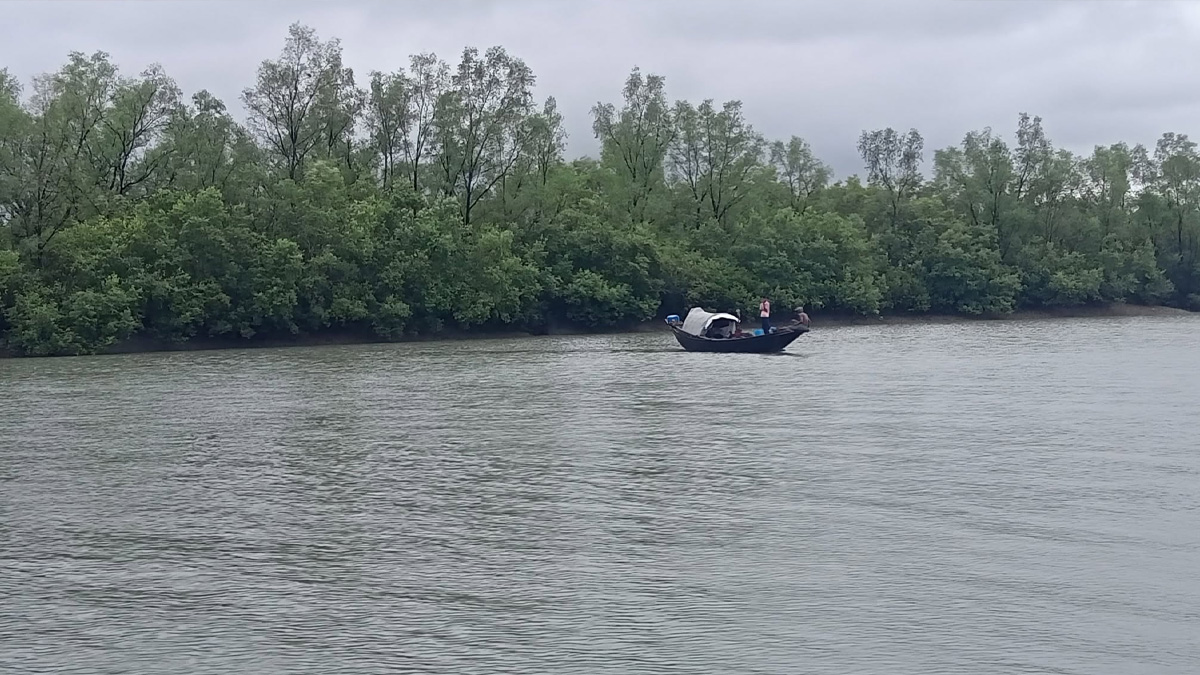 সুন্দরবনে তিন মাসের নিষেধাজ্ঞা: জীবিকা নির্বাহ নিয়ে দুশ্চিন্তায় বনজীবীরা