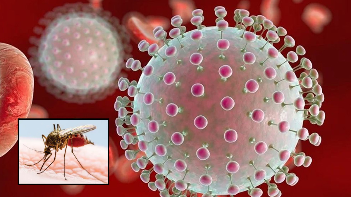 চট্টগ্রামে দুই জনের শরীরে জিকা ভাইরাস শনাক্ত