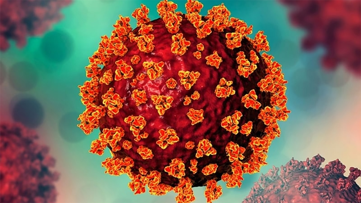 আরও ৭ জনের করোনা শনাক্ত