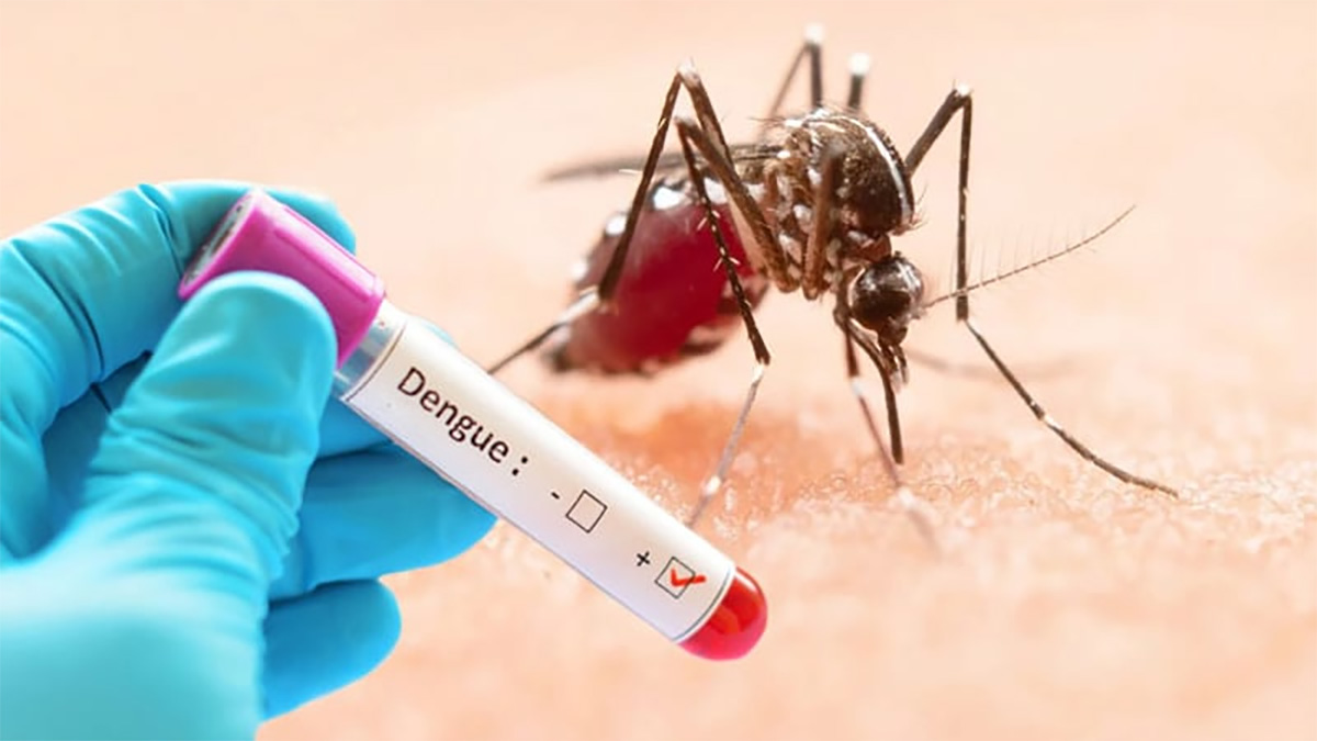 ডেঙ্গুতে একজনের মৃত্যু, হাসপাতালে ভর্তি ৩৯৩