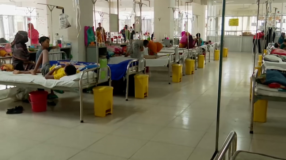 রাজধানীর হাসপাতালগুলোতে ডেঙ্গু রোগীর সংখ্যা বাড়ছে