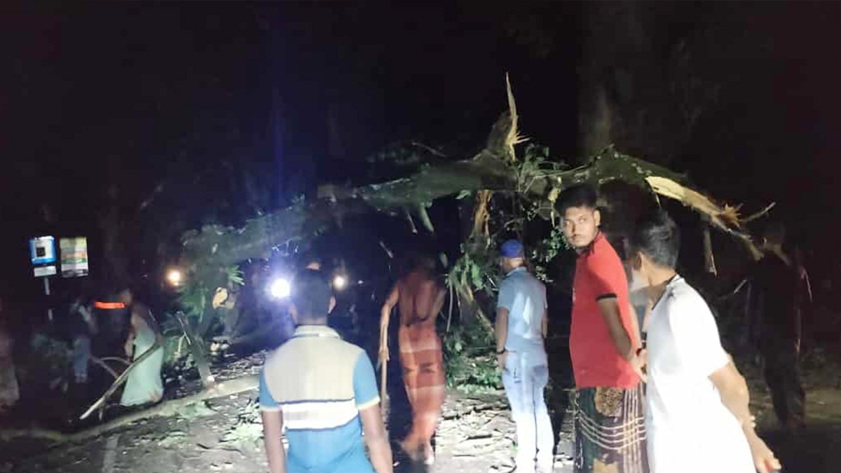 যশোর-বেনাপোল মহাসড়কে ভেঙে পড়লো শতবর্ষী গাছ