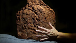 প্রাচীন মিশরীয় সমাধিতে মিললো ৪ হাজার বছরের পুরোনো হাতের ছাপ