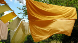 কেন নিয়মিত বদলাবেন বিছানার চাদর-বালিশের কভার