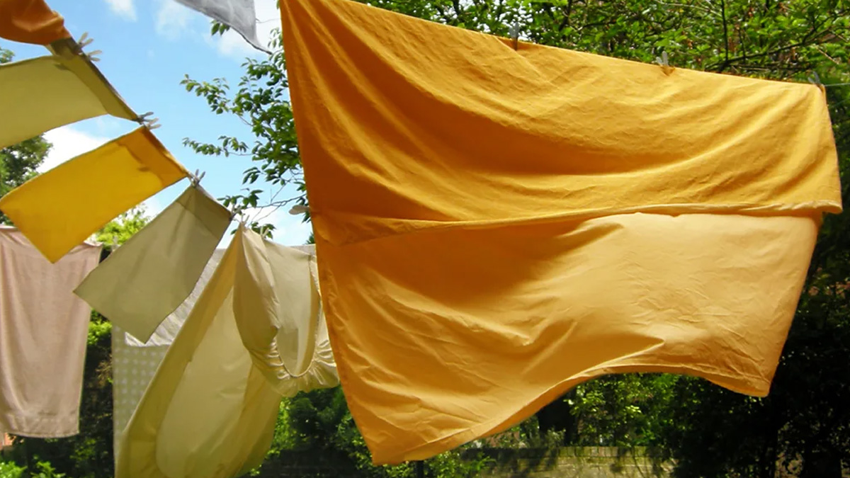 কেন নিয়মিত বদলাবেন বিছানার চাদর-বালিশের কভার