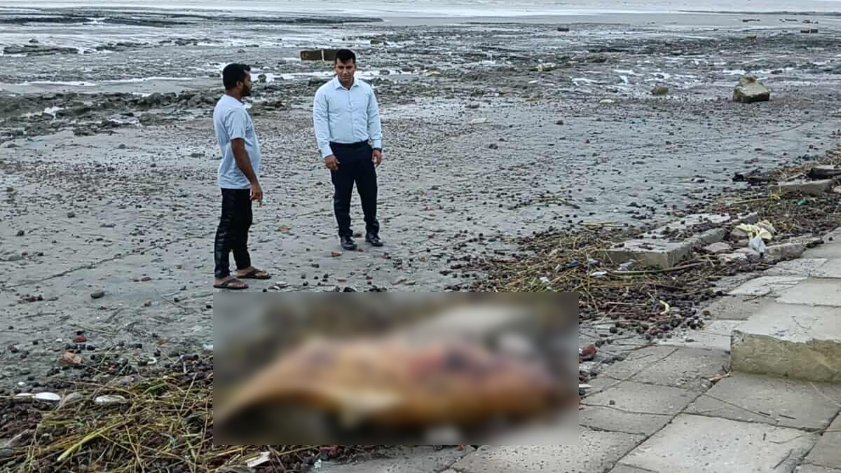 কুয়াকাটা সৈকতে ভেসে এলো মৃত ডলফিন