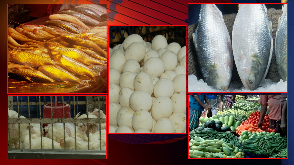 স্বস্তি নেই সবজির বাজারে, ব্রয়লার ১৭৫, ভরা মৌসুমেও চড়া ইলিশের দাম