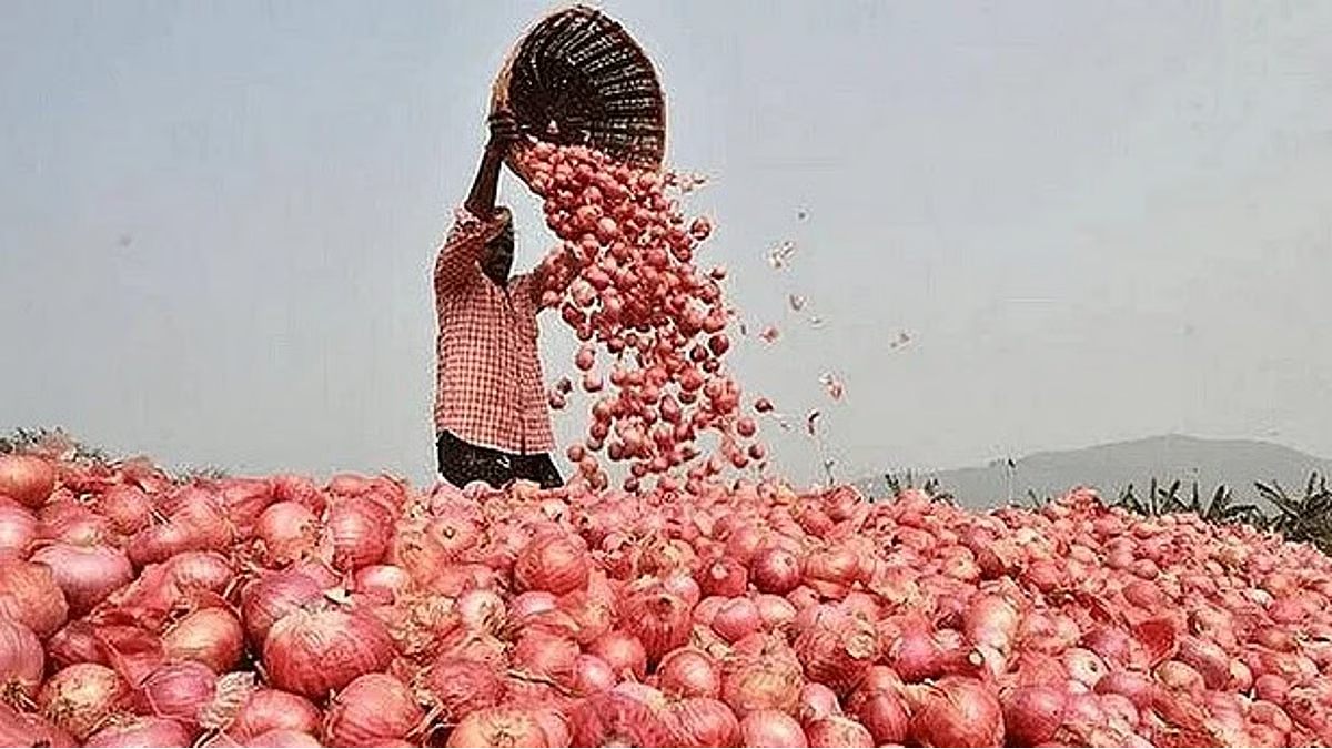 ভারত থেকে পেঁয়াজ আমদানির প্রস্তুতি নিচ্ছেন হিলির ব্যবসায়ীরা
