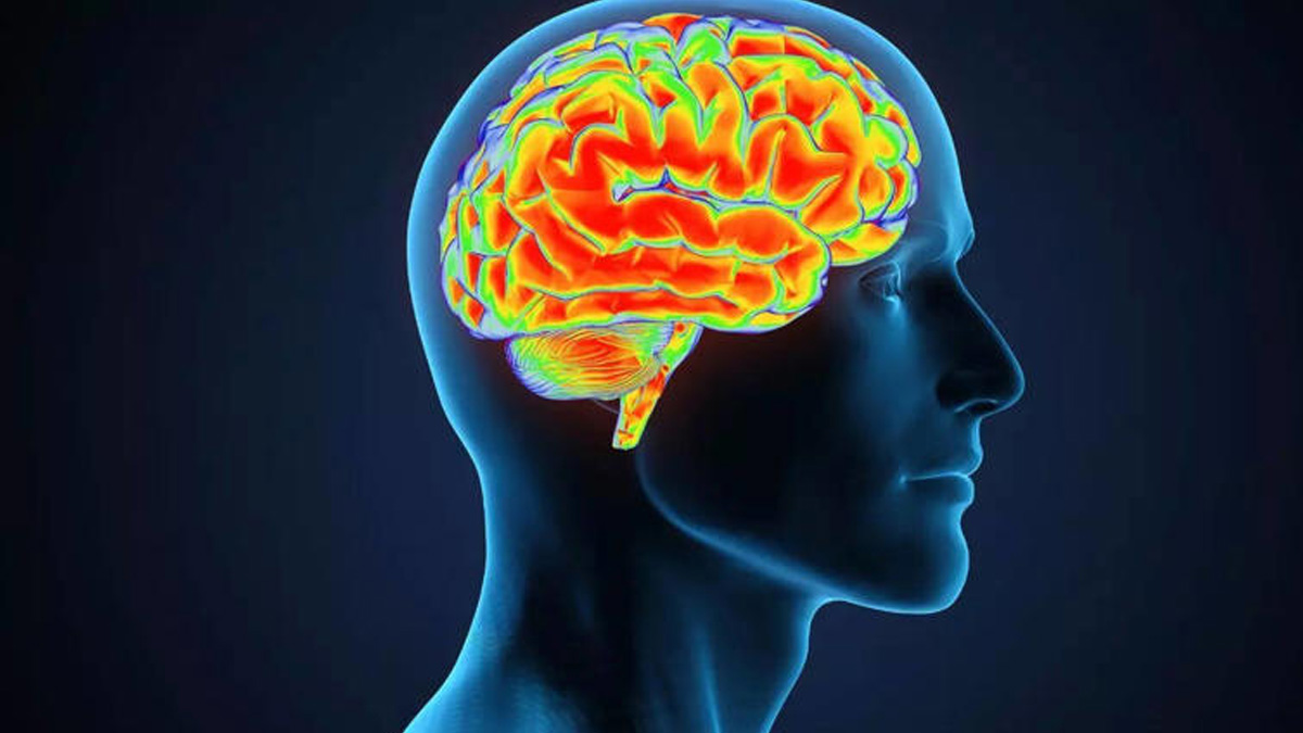 গোপনে মস্তিষ্ককে ক্ষতি করে এমন ১০টি অভ্যাস, এড়িয়ে চলার উপায়