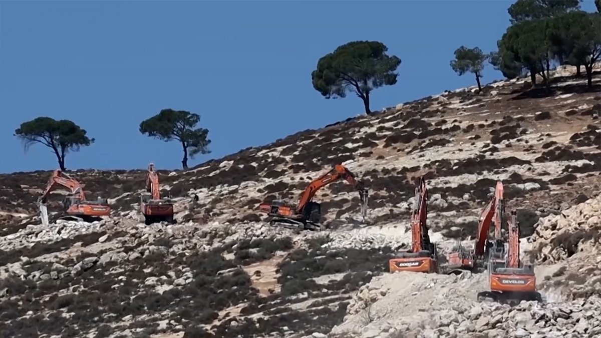 পশ্চিম তীরে ৩ হাজারেরও বেশি বৃক্ষ নিধন নেতানিয়াহু বাহিনীর