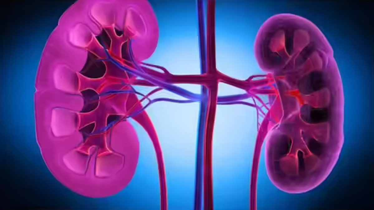 মুখ ও গলায় এই ৫ লক্ষণ হলে সতর্ক থাকুন, হতে পারে কিডনি সমস্যা