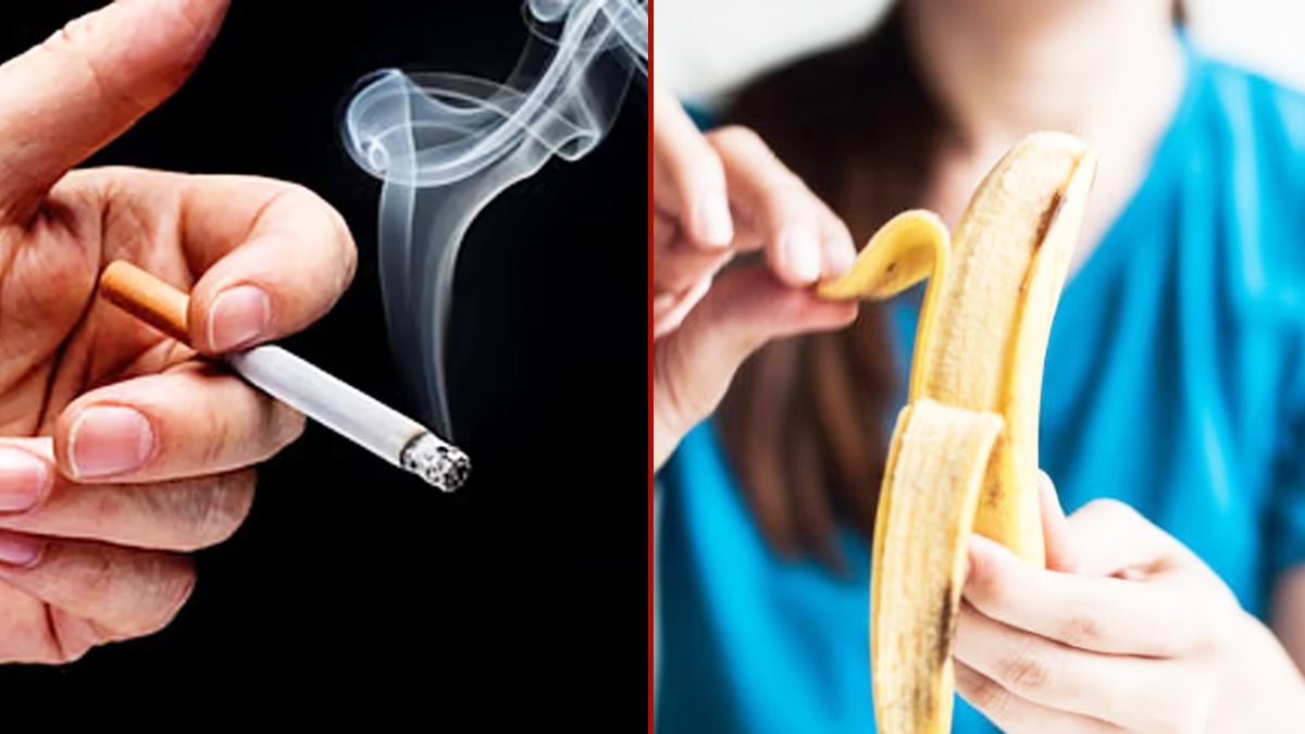 সিগারেট না খেয়ে কেন কলা খাবেন?