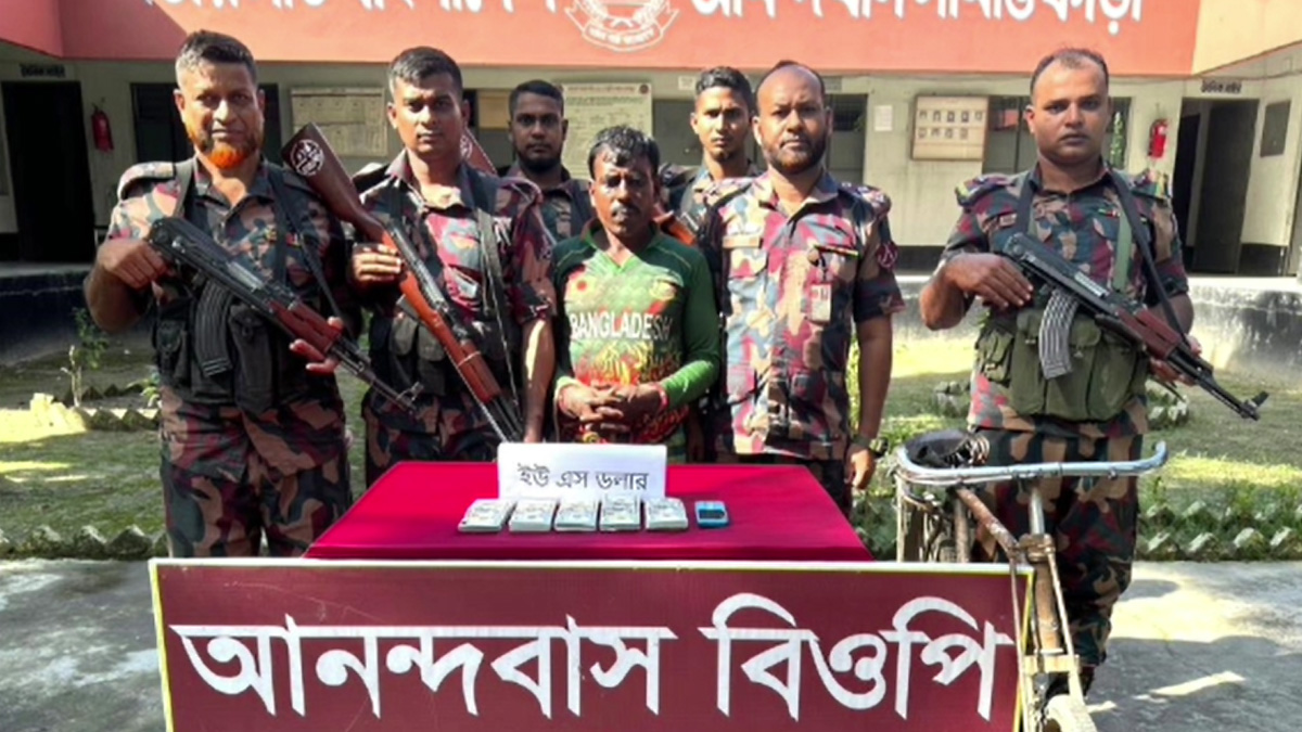 মেহেরপুরের ৫১ হাজার মার্কিন ডলারসহ আটক ১