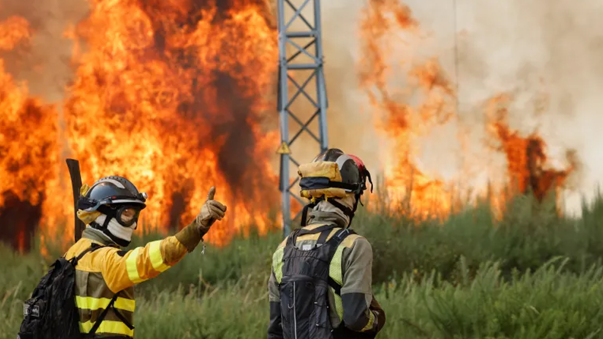 দাবানল মোকাবিলায় আরও ৫শ’ সেনা মোতায়েন করছে স্পেন