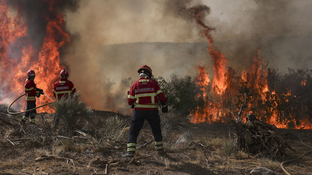 এখনও নিয়ন্ত্রণে আসেনি ইউরোপের দাবানল