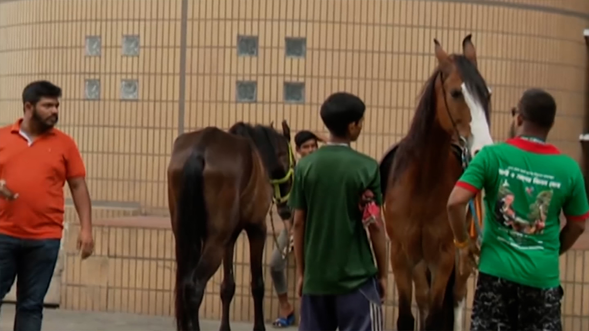 চীন মৈত্রী সম্মেলন কেন্দ্রে প্রাণী প্রদর্শনী