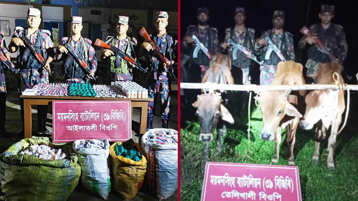 শেরপুর সীমান্তে বিপুল ভারতীয় ওষুধ, মাদক ও ৭ চোরাই গরু আটক